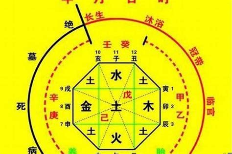 十神 八字|生辰八字算命、五行喜用神查询（免费测算）